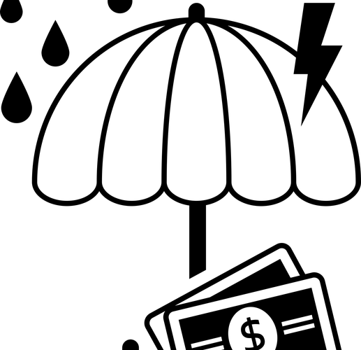 A black outline of an umbrella protects dollar bills from falling raindrops and a lightning bolt, symbolizing financial protection or insurance.