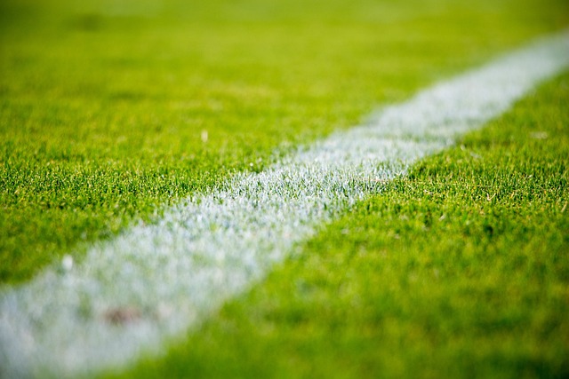 A white sideline marking on a vibrant green grass sports field is shown in a close-up shot.