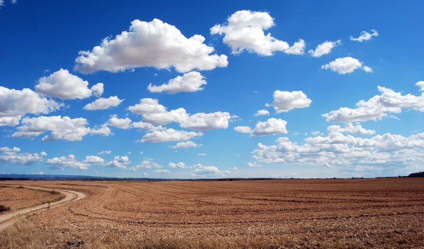 A vast, dry, plowed field stretches under a bright blue sky dotted with fluffy white clouds.