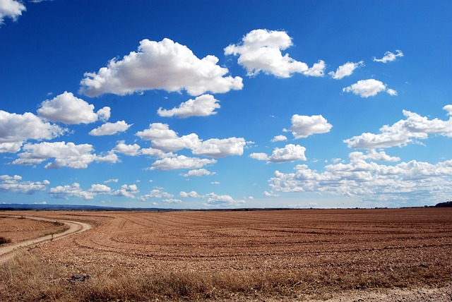 A vast, dry, plowed field under a bright blue sky dotted with fluffy white clouds, with a dirt path curving to the left.
