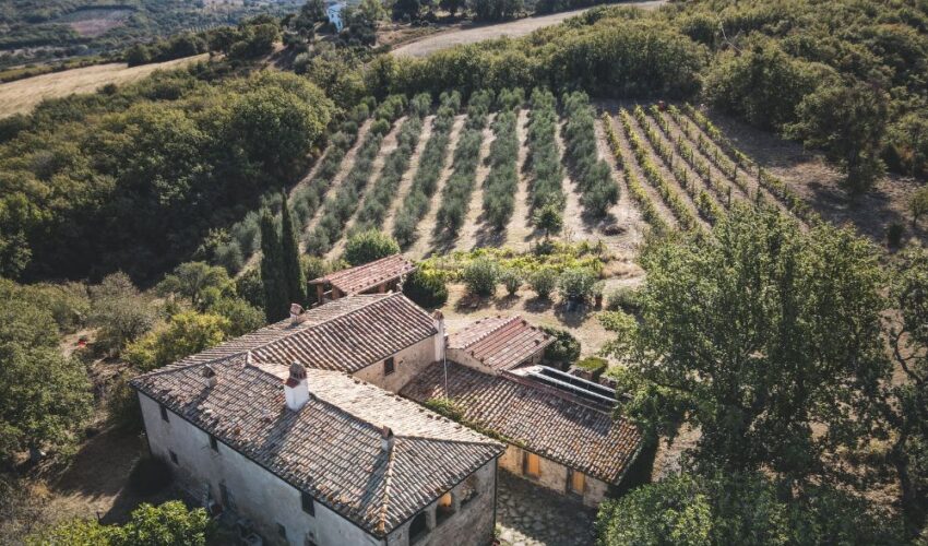 Agricultural Property Relief – What Is It and Who Does It Apply To?