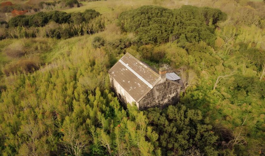 How to Claim Land You Have Maintained UK